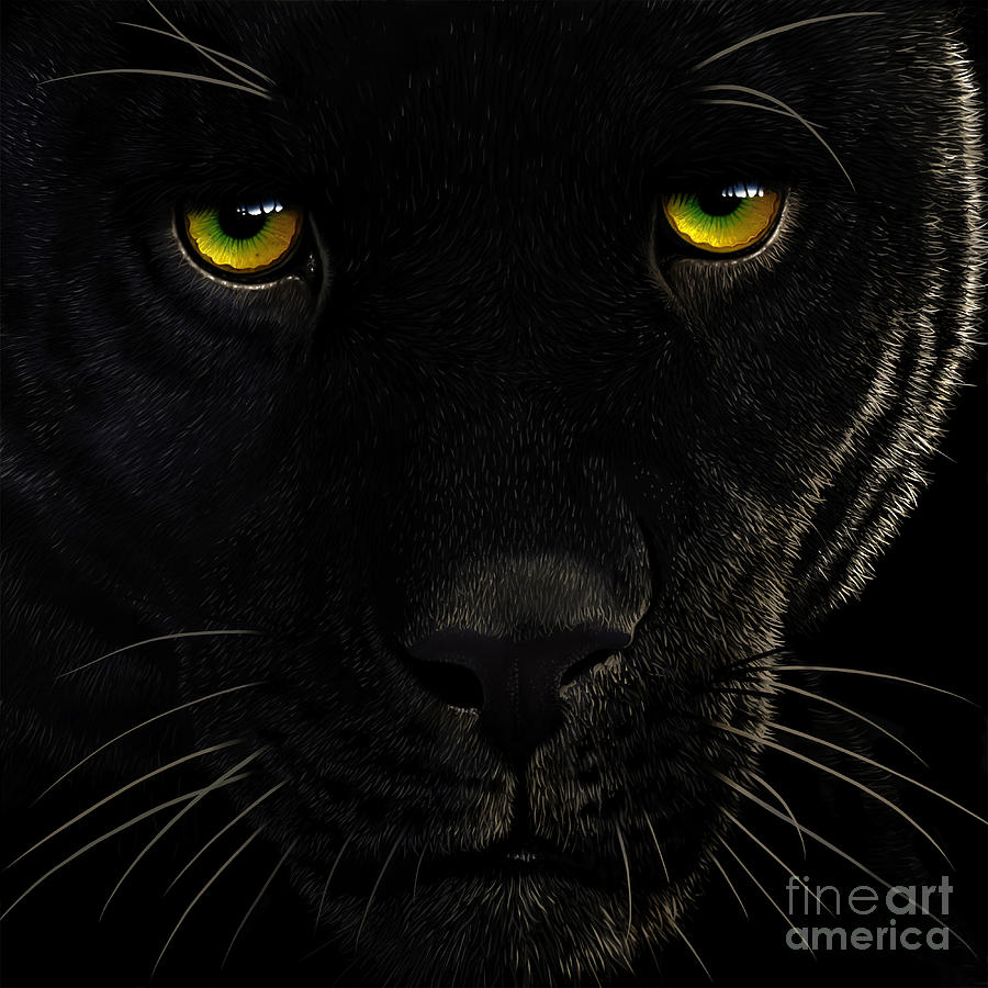 Black Leopard Painting by Jurek Zamoyski