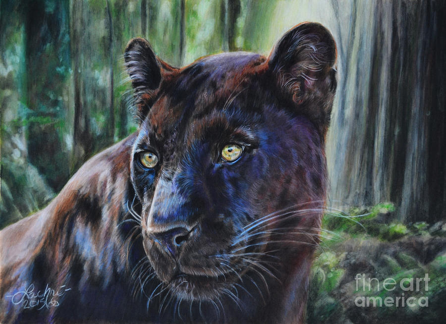 Black Leopard Paintings for Sale - Fine Art America