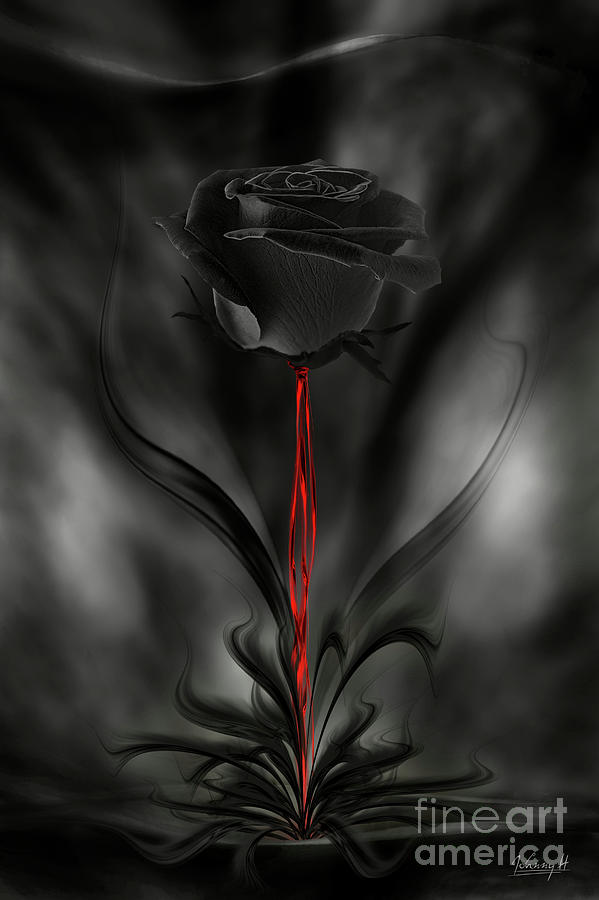 Black magic rose Digital Art by Johnny Hildingsson