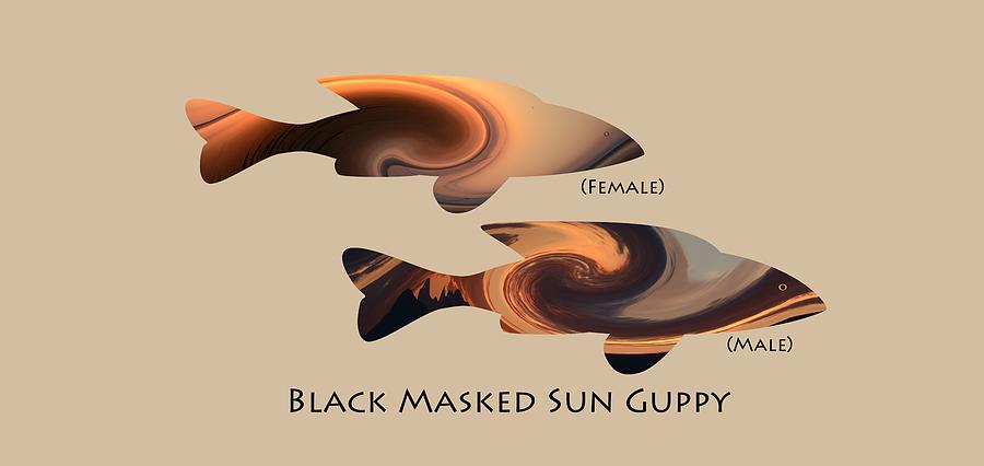 Black Masked Sun Guppy Photograph by Whispering Peaks Photography