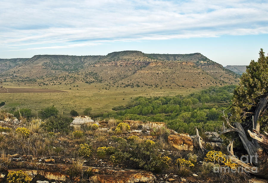 Black Mesa View Photograph by Fred Lassmann