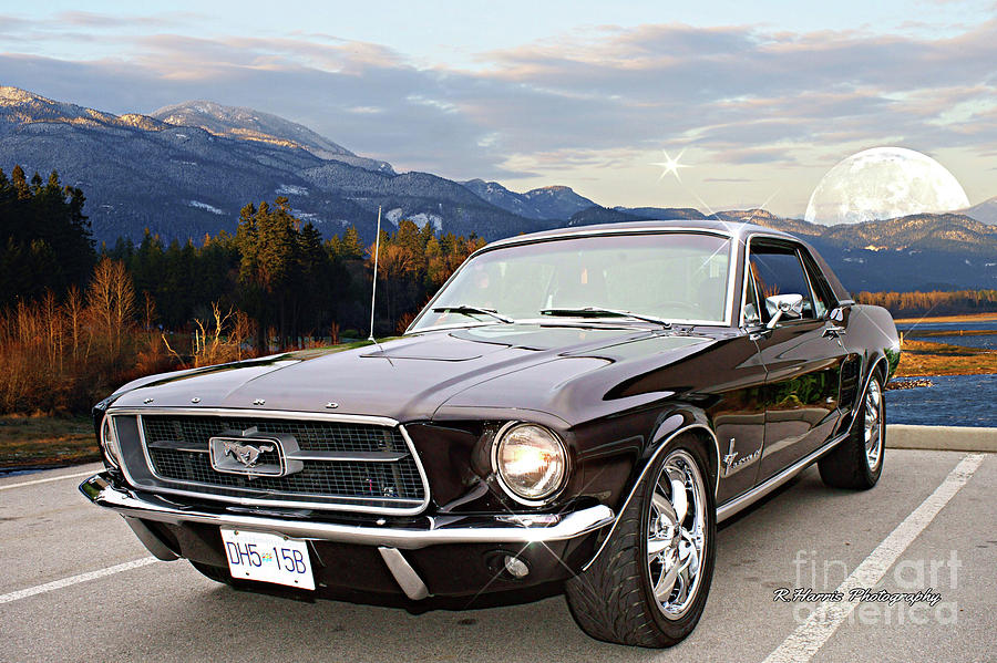 Black Mustang in Harrison Mills Photograph by Randy Harris