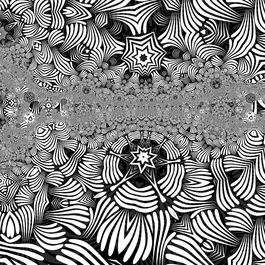 Abstract Digital Art - Black N White 1 by Herbert Briley