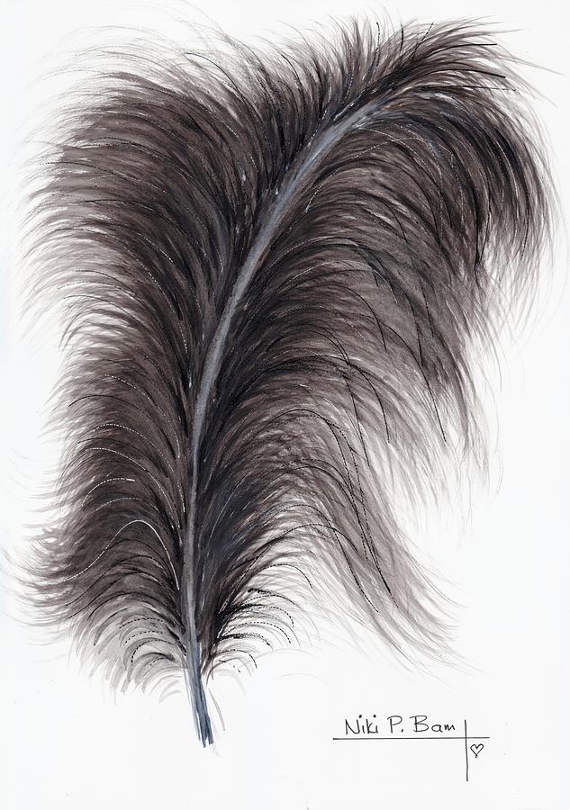 black ostrich feathers for sale
