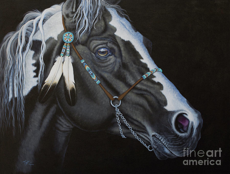 Indian Paint Horse by Tish Wynne Indian Paint Horse by Tish Wynne