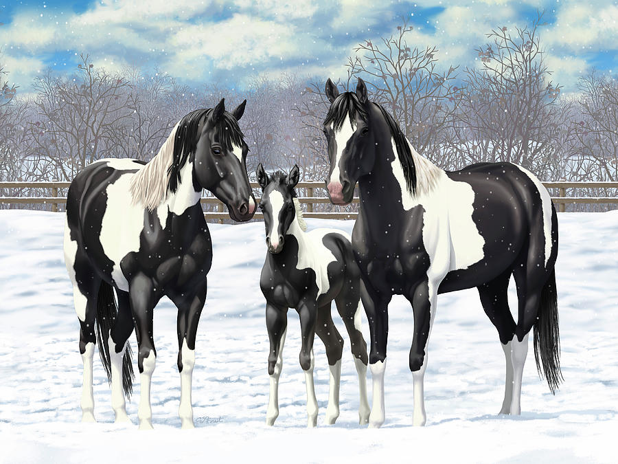 Black Paint Horses In Winter Pasture Painting by Crista Forest