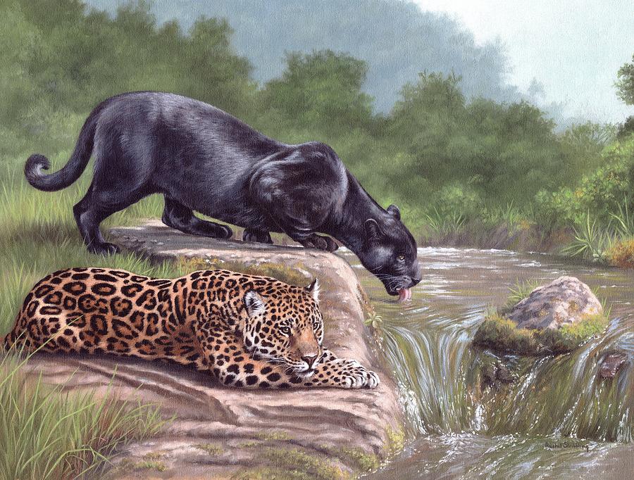Black Panther and Jaguar Painting by Rachel Stribbling