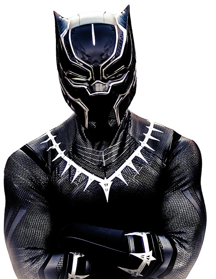 Black Panther Photograph by Joe Torres