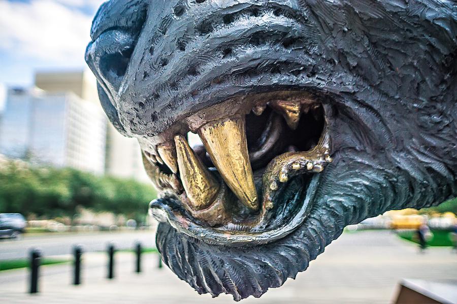 Black Panther Statue Closeup Of Teeth With City Background Photograph by Alex Grichenko