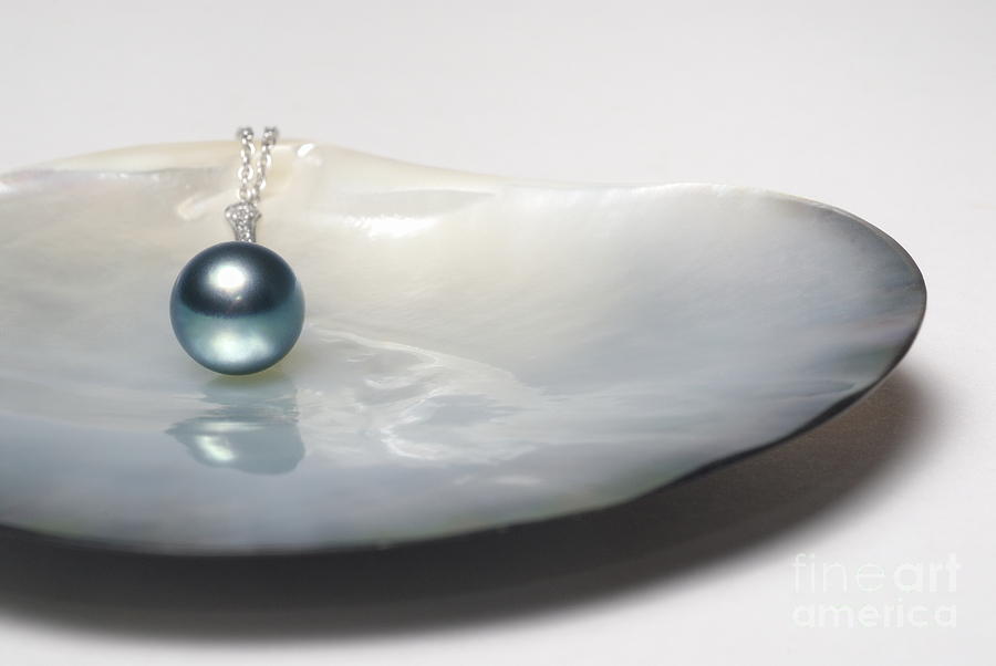 clam pearl necklace