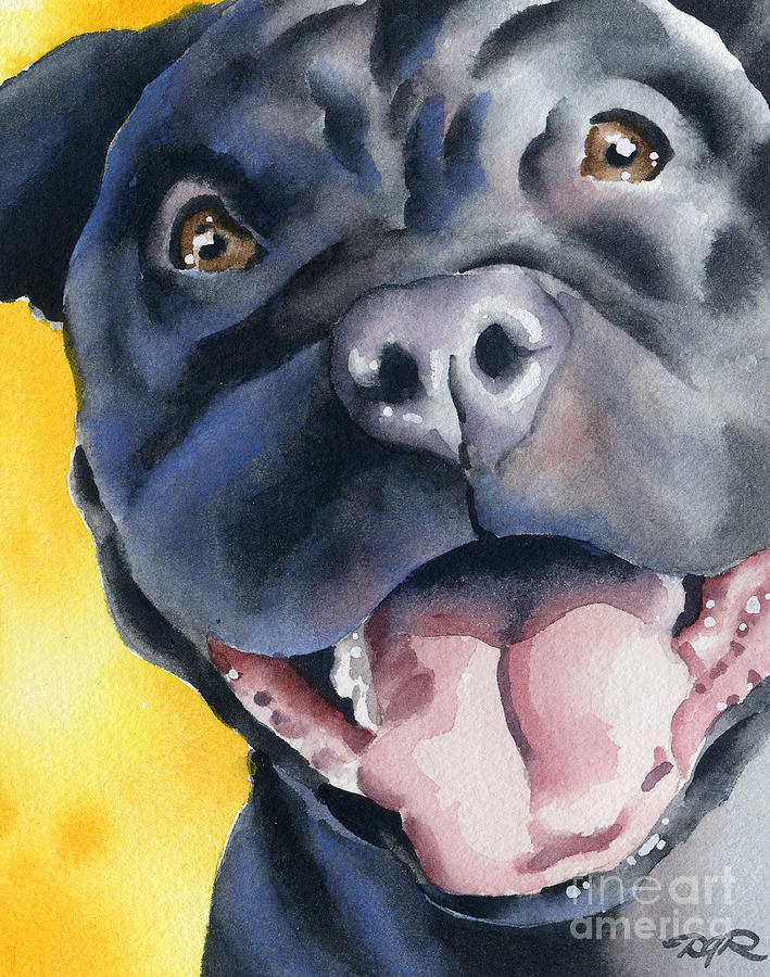 Dog Painting - Black Pit Bull Terrier by David Rogers