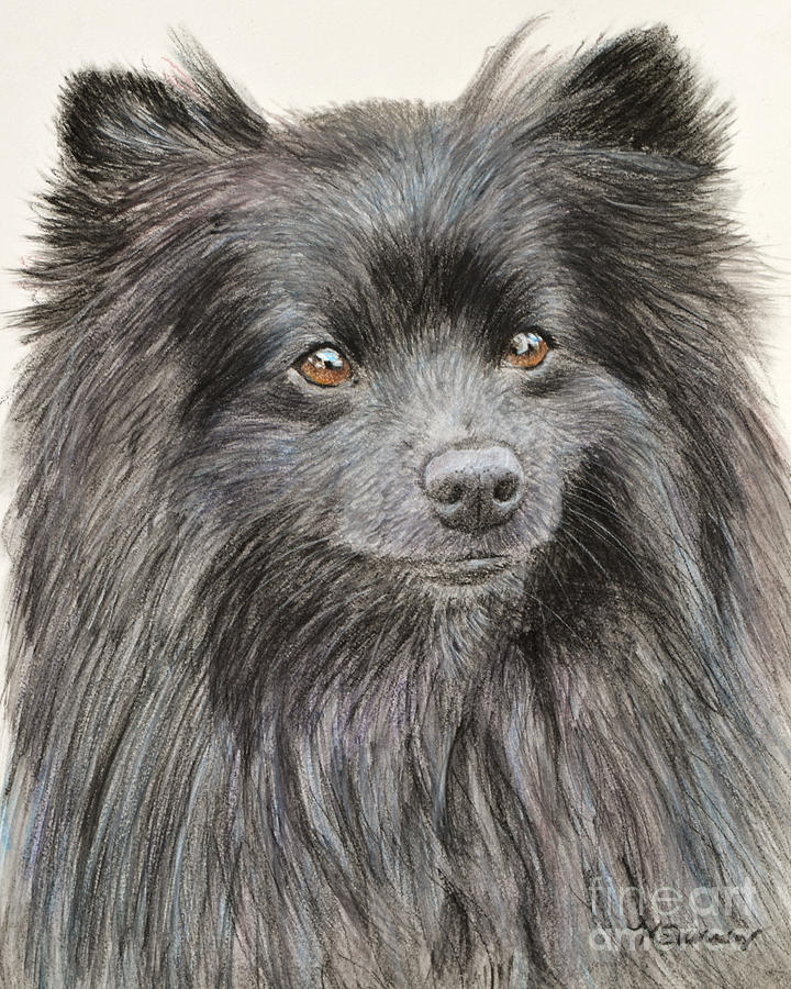 Nature Painting - Black Pomeranian Painting by Kate Sumners