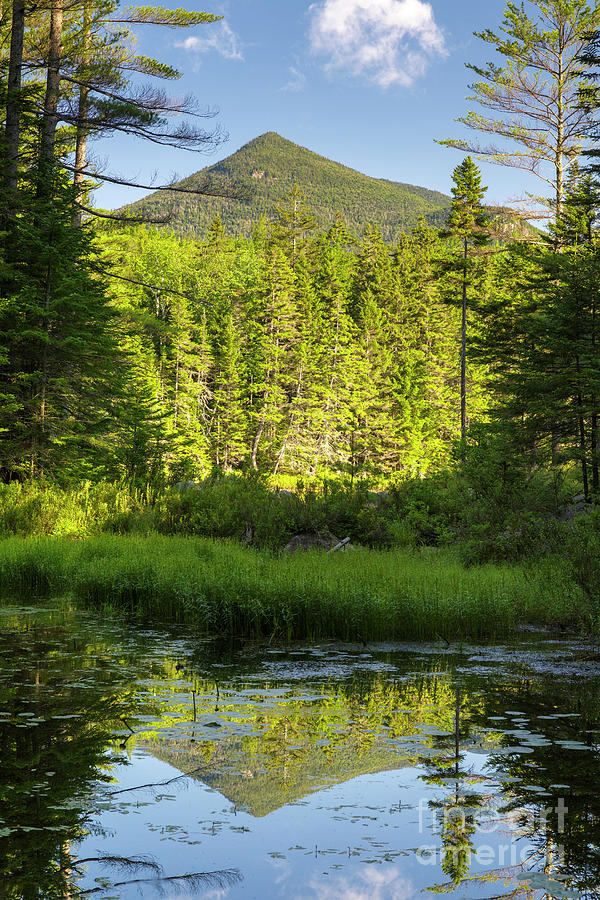 Nature Photograph - Black Pond - Owls Head, New Hampshire by Erin Paul Donovan