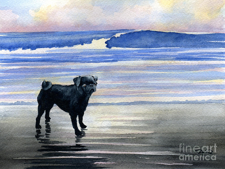 Sunset Painting - Black Pug At The Beach by David Rogers