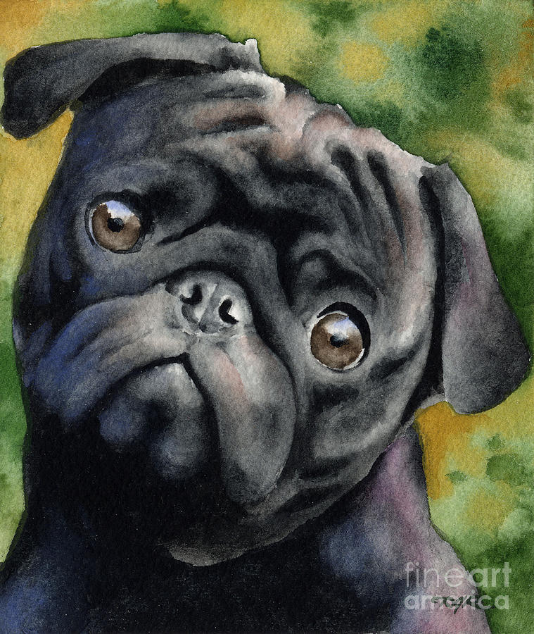 Dog Painting - Black Pug by David Rogers