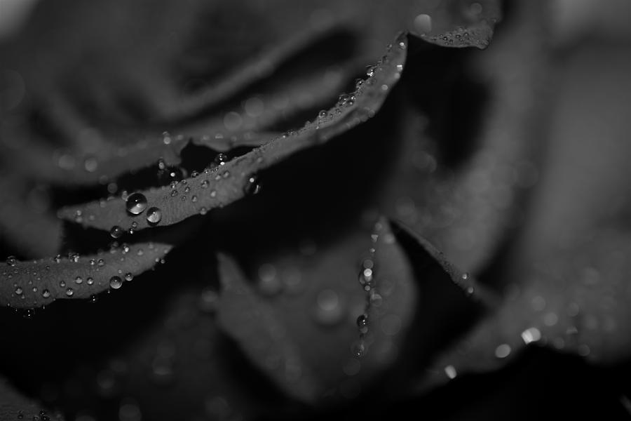 Black Rain Photograph By Paul Gavin - Fine Art America