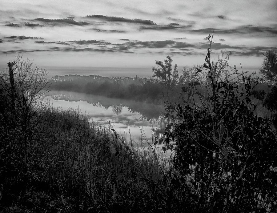 Black River Morning Digital Art by Michael Thomas