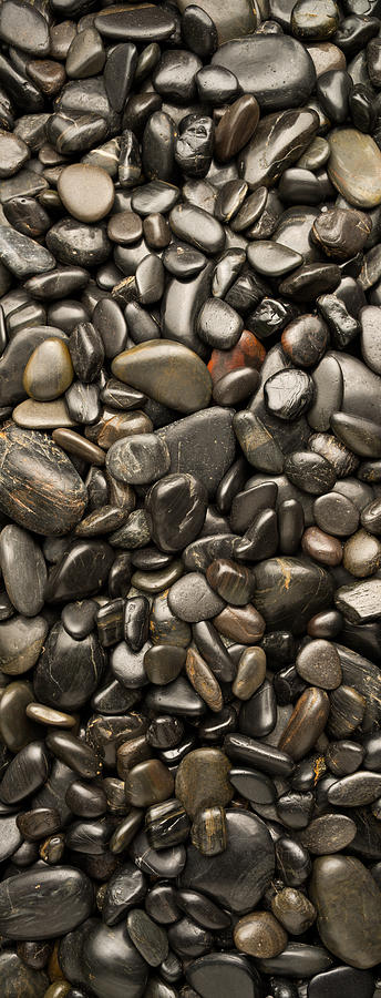 Pebble Photograph - Black River Stones Portrait by Steve Gadomski