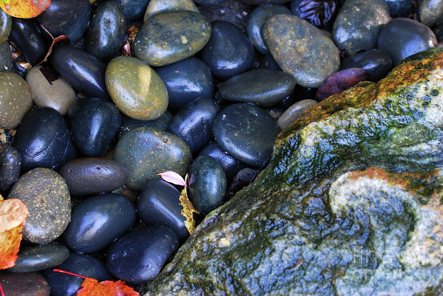 Black Rocks and Stone Photograph by Nancy Mueller