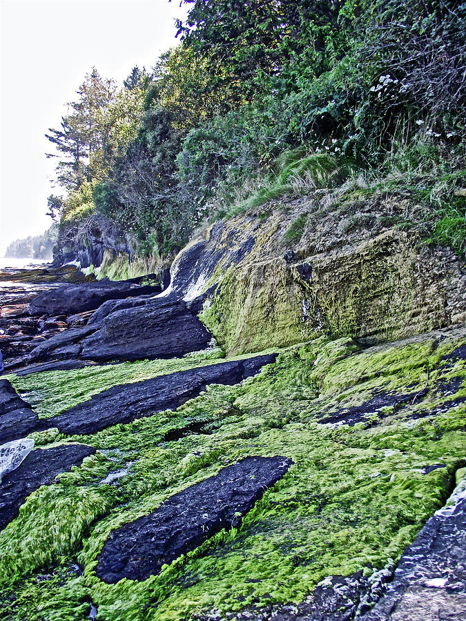 Black Rocks on Tongue Point in Salt Creek Recreation Area on Olympic Peninsula, Washington Photograph by Ruth Hager