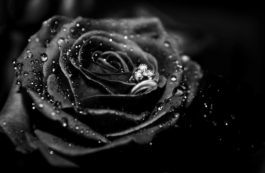 Black And White Photograph - Black rose and diamond ring by Sandra Rugina