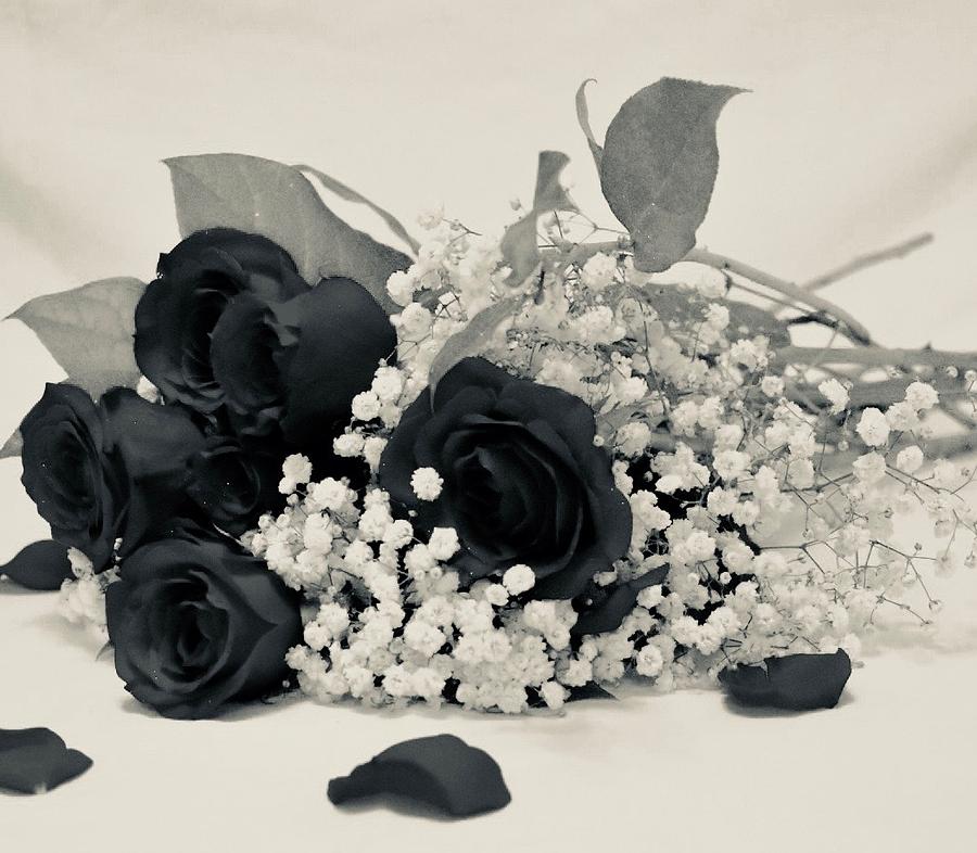 Black Rose Bouquet Photograph By Destiny Protzo