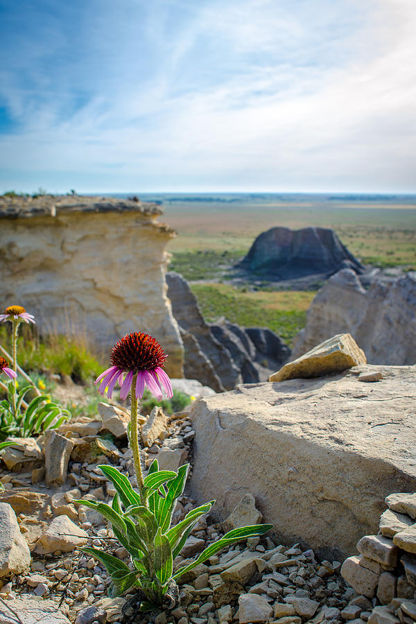 Black Sampson in the Badlands Photograph by Jeff Phillippi
