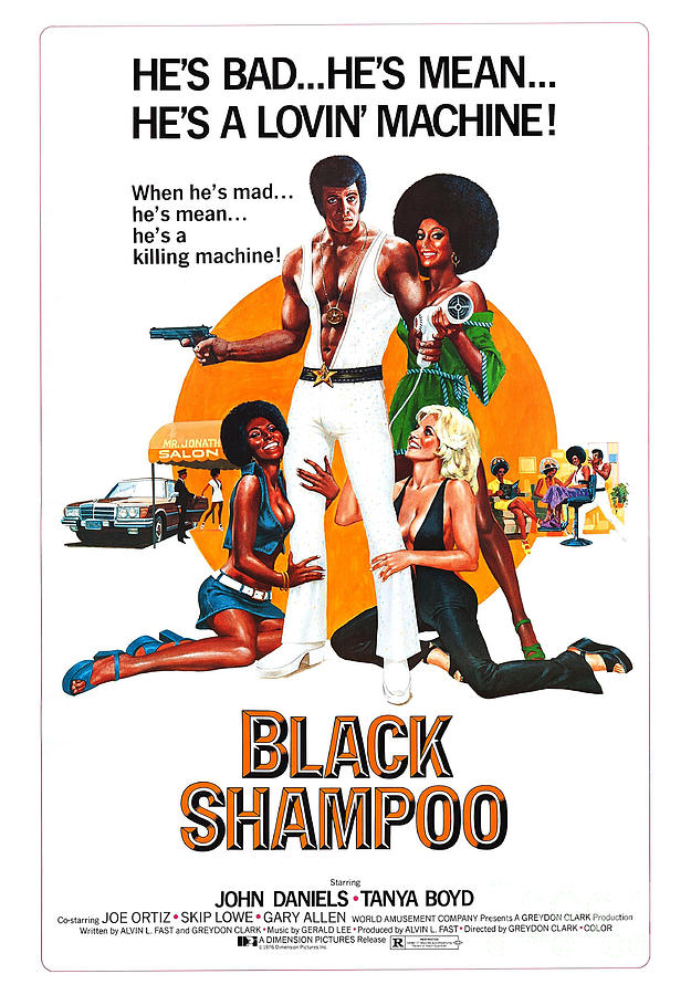 Black Shampoo movie poster Painting by Vintage Collectables