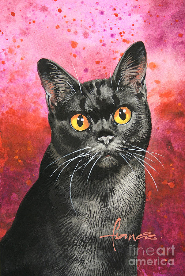 Animal Painting - Black Shorthair by MGL Meiklejohn Graphics Licensing