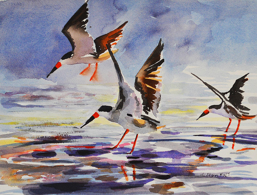 Landscape Painting - Black Skimmers 2-18-16 by Julianne Felton