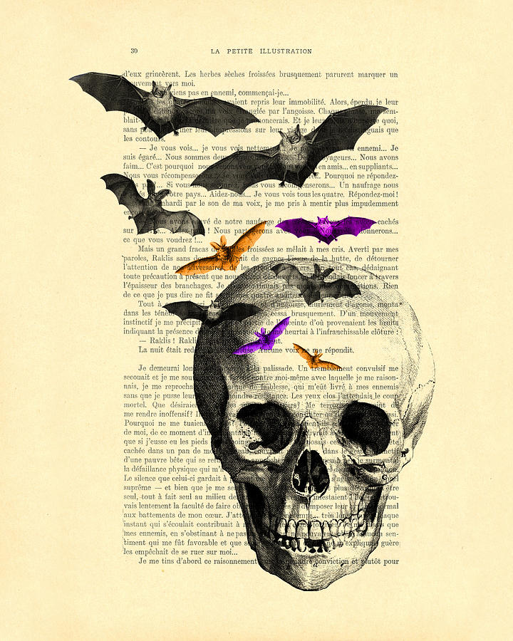 Bat Digital Art - Black Skull And Bats On A Dictionary Page by Madame Memento