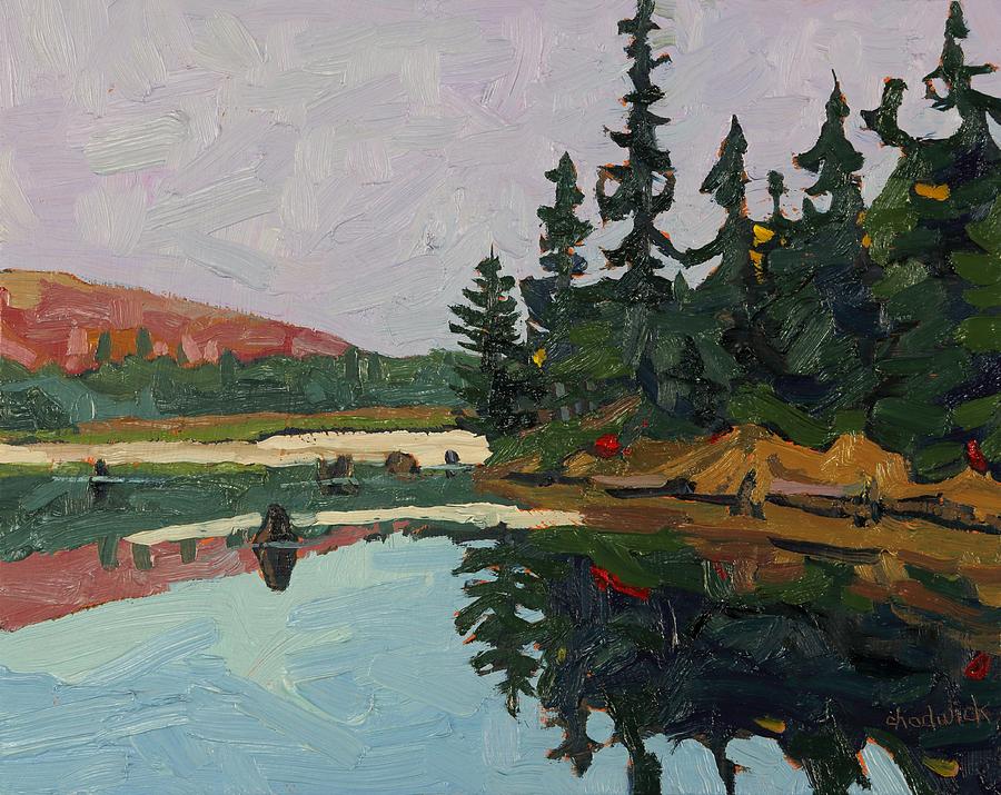 Black Spruce Point Painting by Phil Chadwick