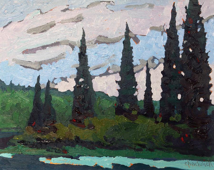 Black Spruce Shore Painting by Phil Chadwick