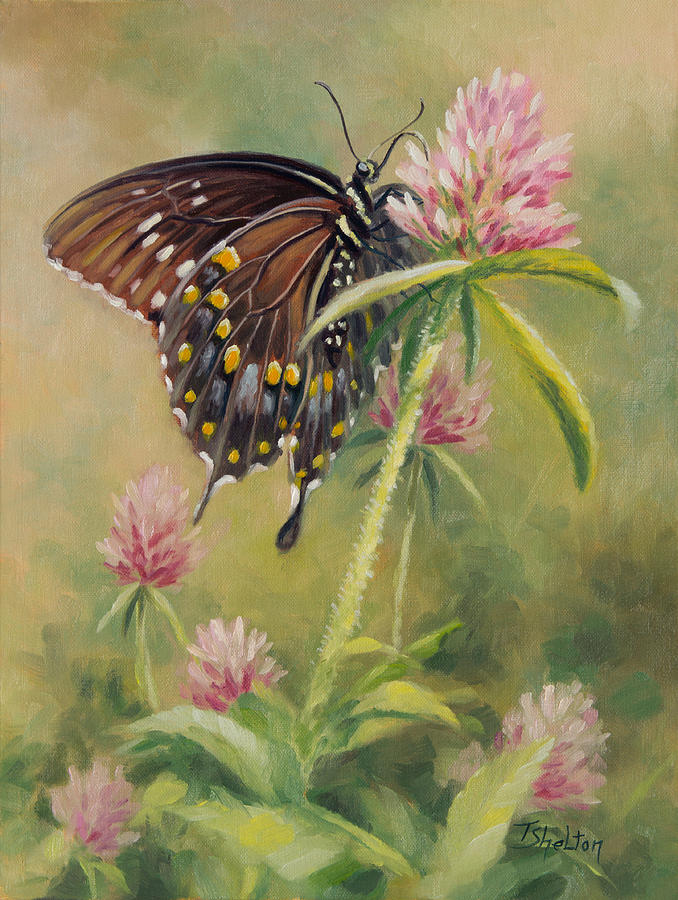 Black Swallowtail on Clover Painting by Theresa Shelton - Fine Art America