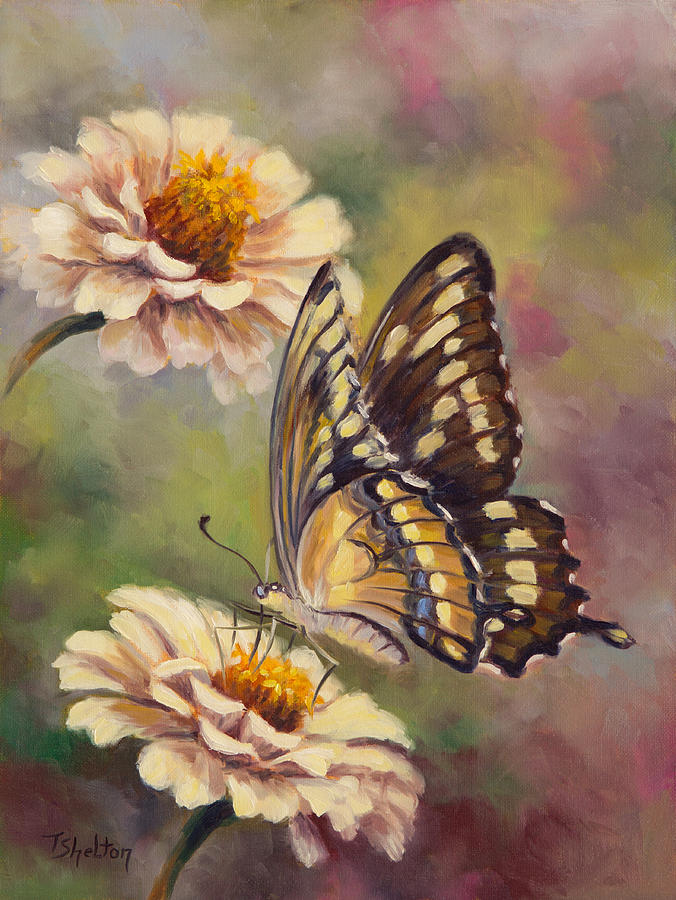 Black Swallowtail on Zinnia Painting by Theresa Shelton - Pixels