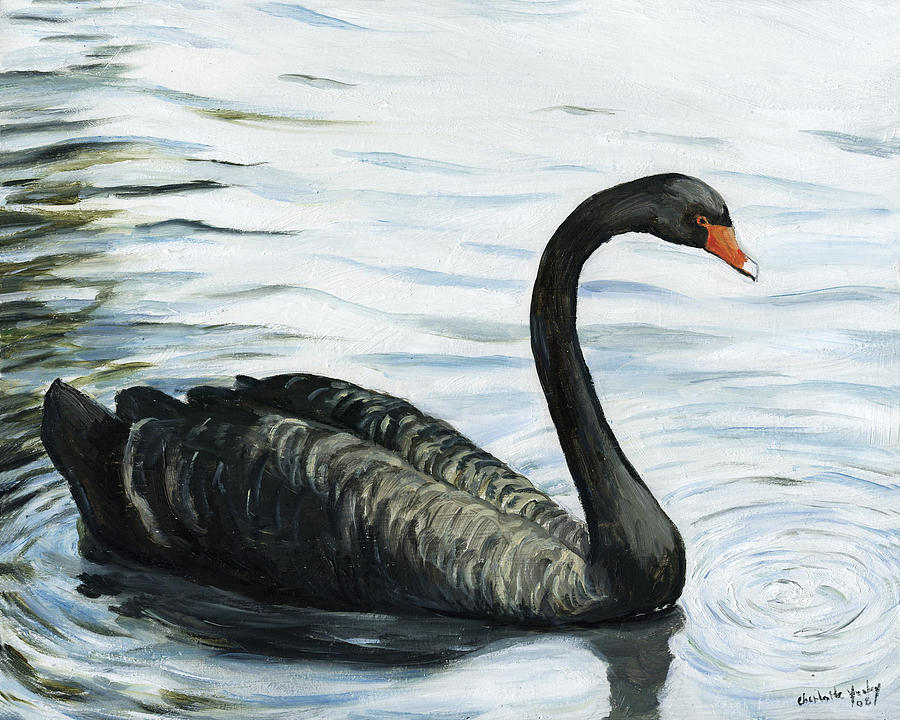Black Swan Painting by Charlotte Yealey