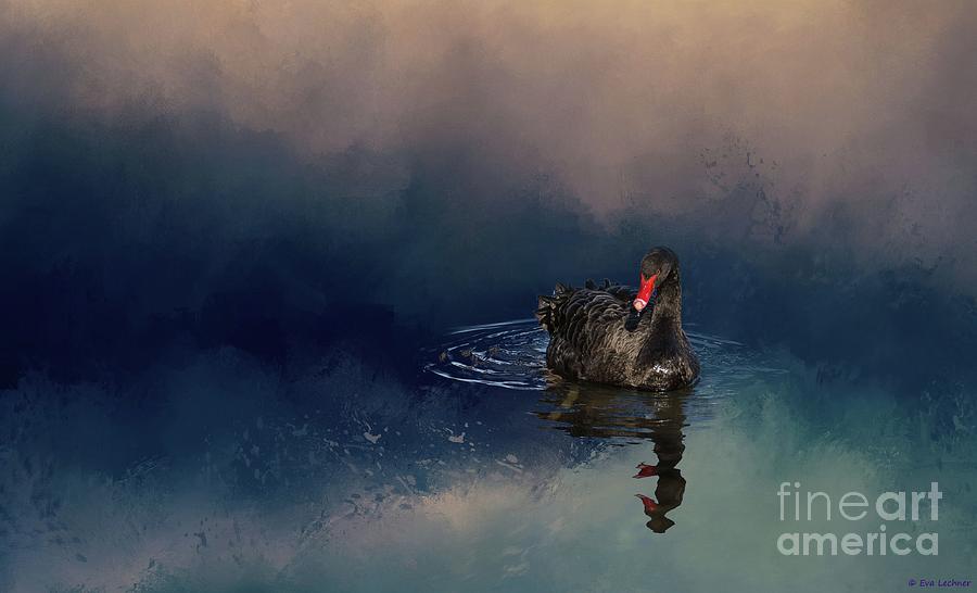Swan Digital Art - Black Swan by Eva Lechner