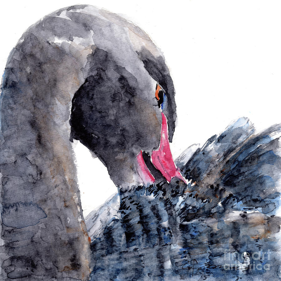 Black Swan II Painting by Claudia Hafner