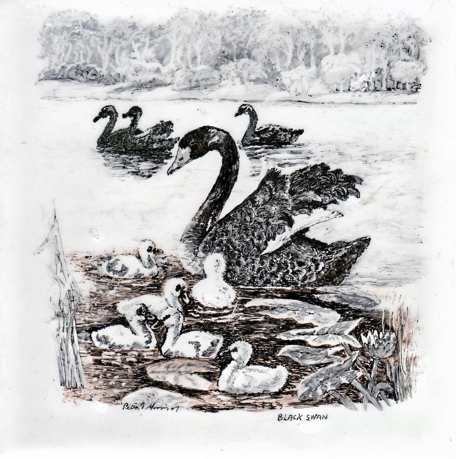 Bird Drawing - Black Swans by Peter Morris