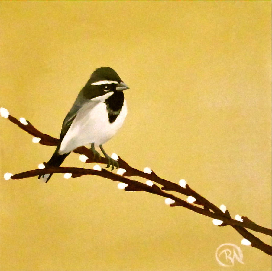 Black Throat Sparrow on Willow Branch Painting by Renee Noel