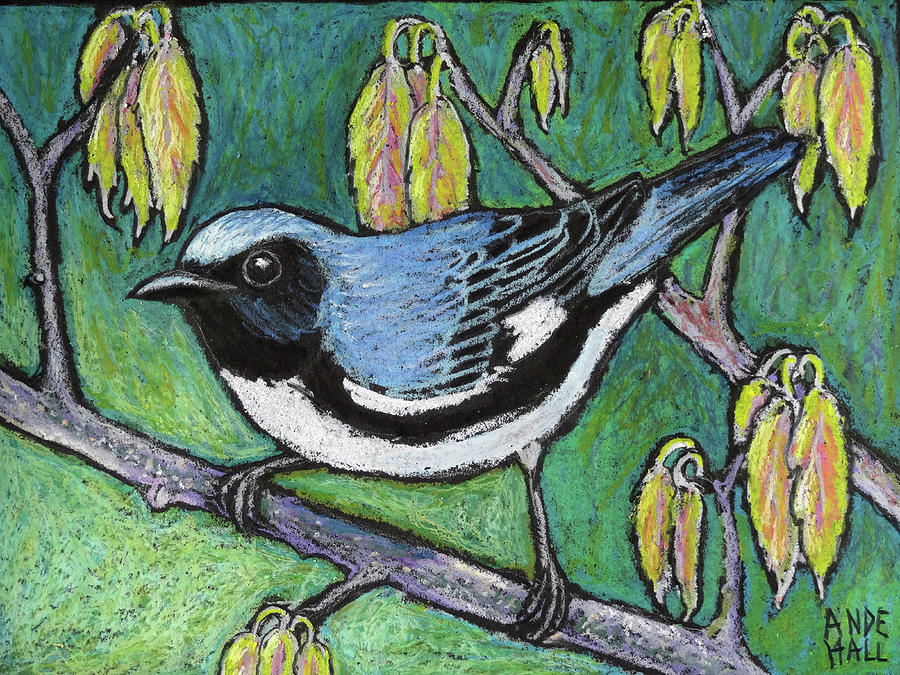Black Throated Blue Warbler Painting by Ande Hall