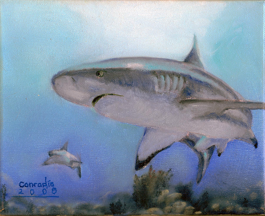 Black Tip Sharks Painting by Gil Conradis | Fine Art America