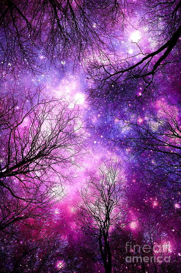 Space Digital Art - Black Trees Purple Magenta Space by Johari Smith