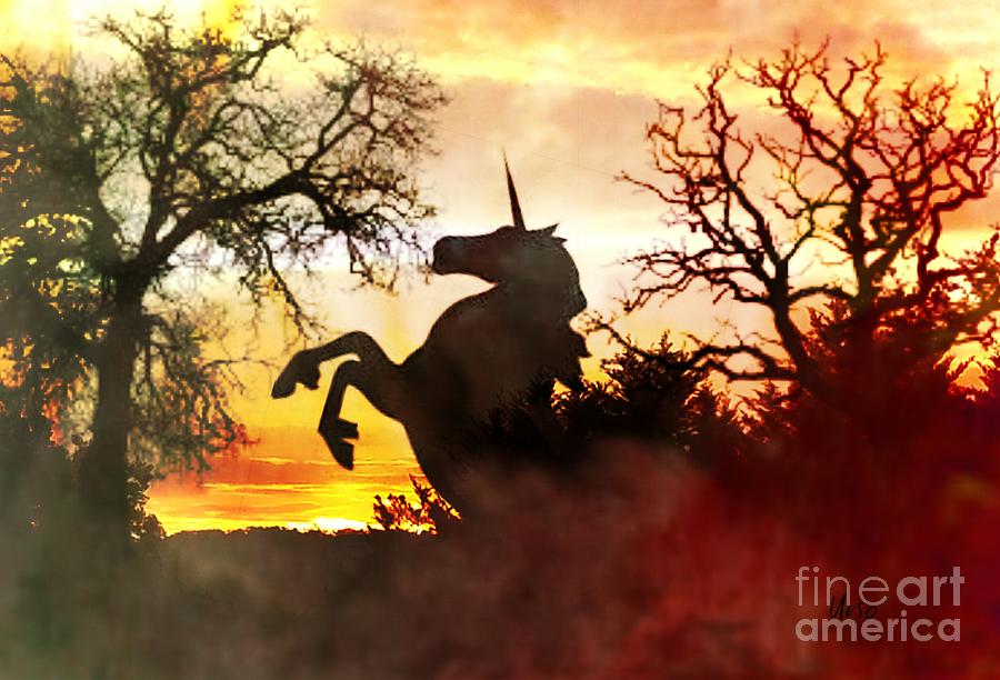 Sunset Photograph - Black Unicorns Sunset by Maria Urso