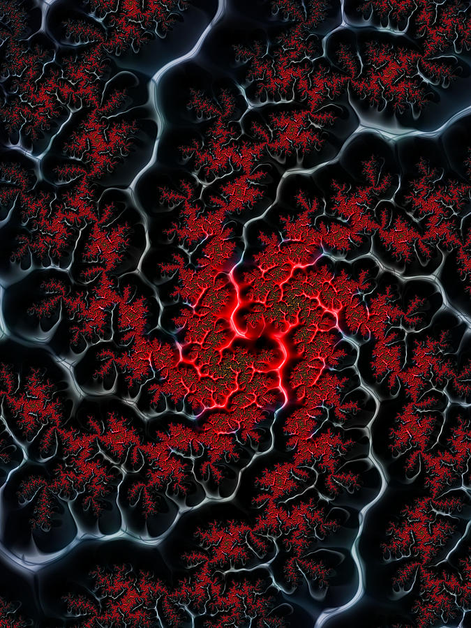 Black veins red blood abstract fractal art Digital Art by Matthias Hauser