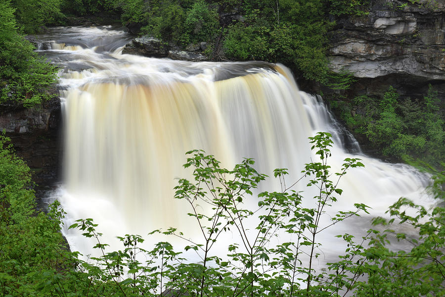 Black Water Falls WV Photograph by Dung Ma