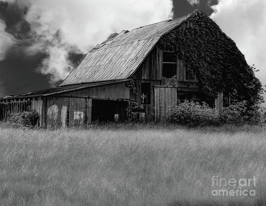 Black White Barn Photograph by Elijah Knight