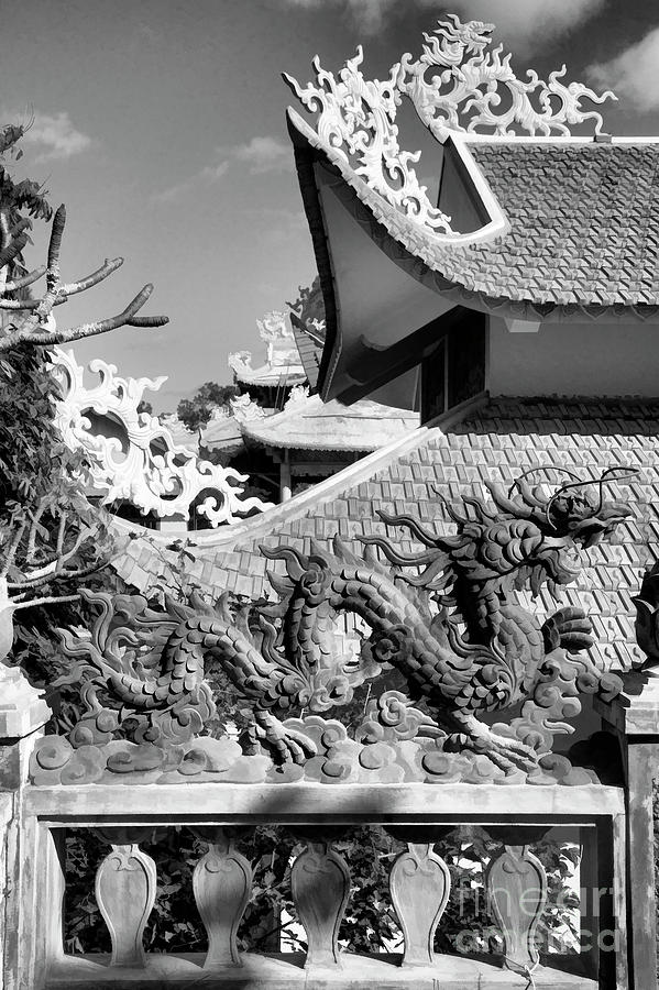 Black White Dragon Architecture Da Lat Vietnam  Photograph by Chuck Kuhn