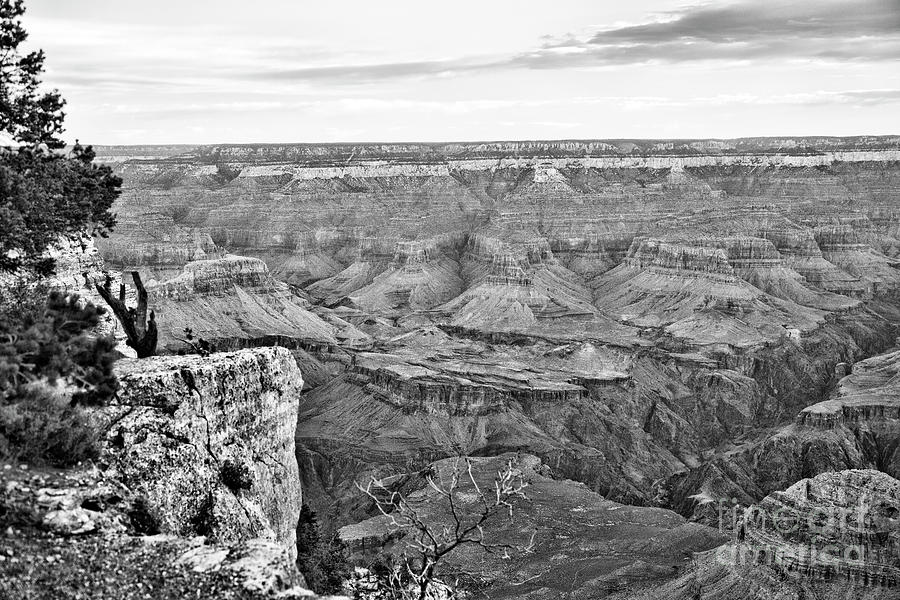 Grand Canyon National Park Photograph - Black White Grand Canyon 7 by Chuck Kuhn