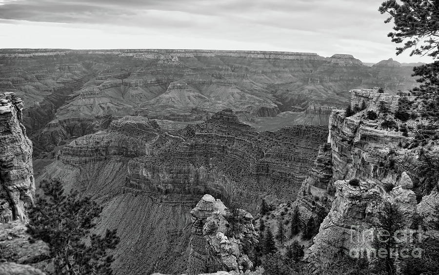 Black White Grand Canyon Arizona  Photograph by Chuck Kuhn